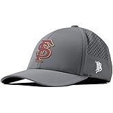 Branded Bills Officially Licensed x Florida State Seminoles Curved Performance FSU Block