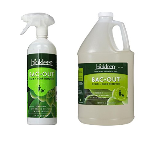 Biokleen Bac-Out Stain and Odor Remover Foam Spray (32 oz) with Refill (128 oz)