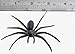 Fake Spider Rubber Tree