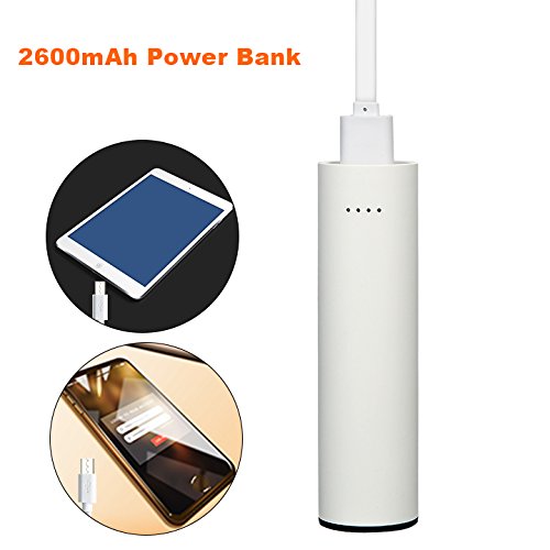 iEGrow Battery Multi-Functional Mini Handheld Fan, White