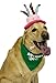 Dog Birthday Party Decorations Kit by Blast in a Box (Blue Hat): Puppy Cake Mix, Birthday Dog Cotton Bandana, Cake Hat, WOOF and Pawty Balloons