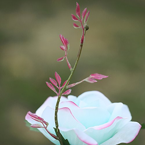 XLUX Outdoor Solar Powered Rose Lights Flower Stake, for Garden Patio Yard Christmas Pathway Decoration, Mint Green with red Edge
