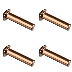 Aicosineg 50Pcs Solid Rivet 0.16in Dia 0.63in