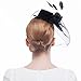 Valdler Elegant Women Lady Girls Feather Net and Veil Fascinator Hair Clip Hat Hair Accessories Clip (Black)