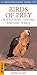 Photographic Guide to Birds of of Southern, Central and East Africa (Photographic Guides) by