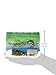 Yamamoto 9S-10-305 Senko Bait, 4-Inch, 10-Pack, Baby Bass
