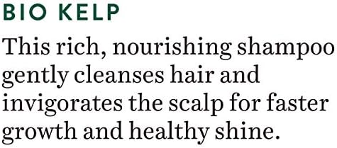 Biotique Bio Kelp Protein Shampoo For Falling Hair 120Ml I Intensive Hair Growth Treatment I Blend Of Pure Kelp - Image 3