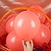 Hestya 100 Pieces 10 Inch Coral Balloons Latex Party Balloons Arch Garland Kit for Weddings, Bridal Shower, Graduation, Anniversary, Birthday Party Decoration