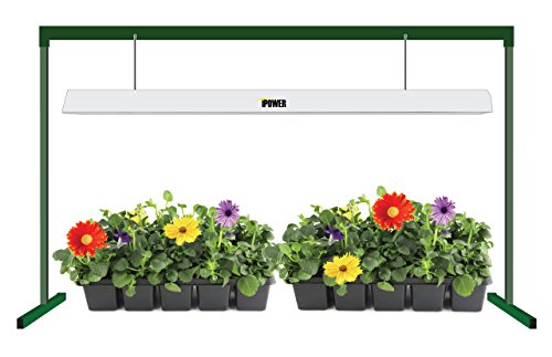 UPC 610395731498, iPower GLT5XX4 Head Start T5 54W 6400K Fluorescent Grow Light System with Stand Rack for Seed Plant Starting, 4-Feet, Premium-Quality UL/CSA-listed