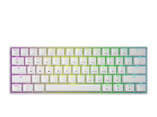 GK61 Mechanical Gaming Keyboard - 61 Keys Multi Color RGB Illuminated LED Backlit Wired Programmable for PC/Mac Gamer (Gateron Mechanical Clear, White)