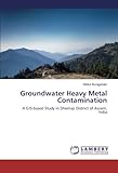 Image de Groundwater Heavy Metal Contamination: A GIS-based Study in Dhemaji District of Assam, India