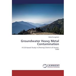 Groundwater Heavy Metal Contamination: A GIS-based Study in Dhemaji District of Assam, India