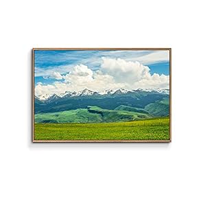 Framed Canvas Wall Art for Living Room, Bedroom Plain Canvas Prints for Home Decoration Ready to Hang - 16x24 inches