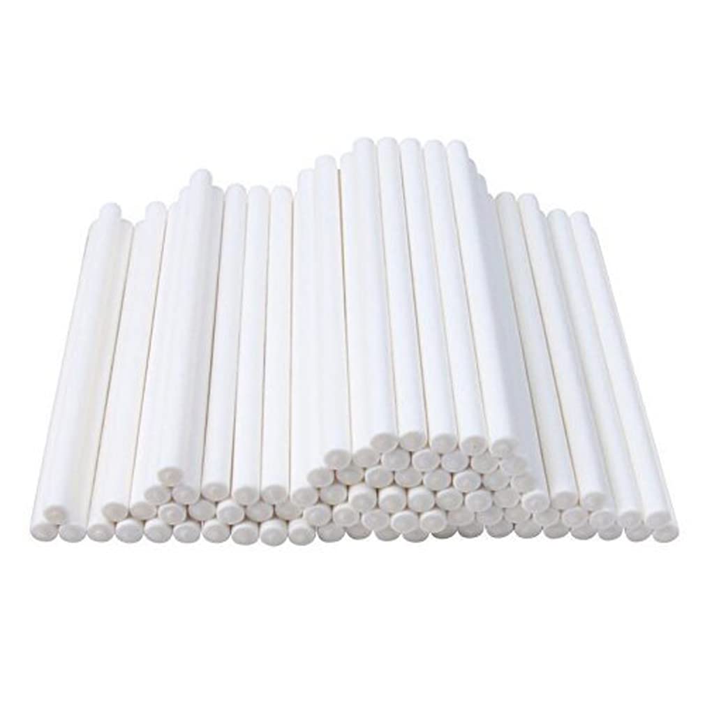 Haobase 100 Pieces Cake Pop Sticks Lollipop Paper Sticks White