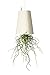 Newcom Upside-Down Planter/Sky Planter/Hanging Planter (White, Large)