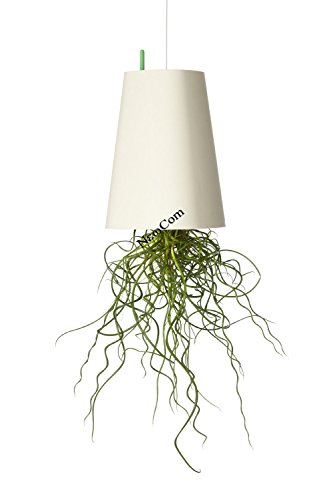 Newcom Upside-Down Planter/Sky Planter/Hanging Planter (White, Large)