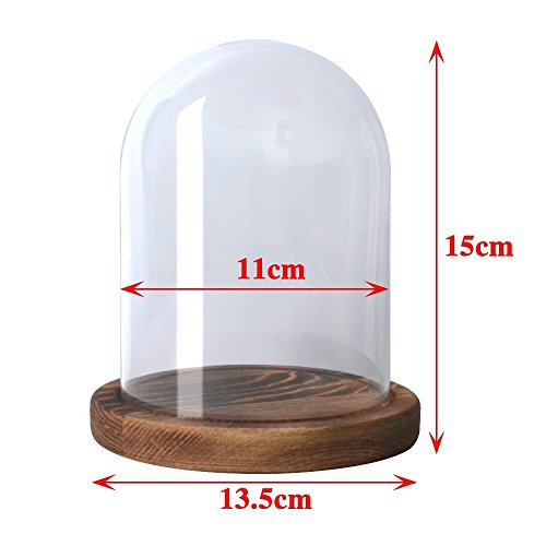 Reelva Decorative Clear Glass Cloche Bell Jar Display Case (D11H15cm) - Thumbnail 2