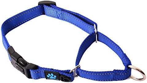 Max and NeoNylon Martingale Collar - We Donate a Collar to a Dog Rescue for Every Collar Sold (Large, Blue)