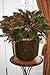 Round Moonstone Planter, Brown, 12-Inch
