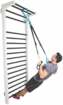 Amaya – Suspensión Trainer: Amazon.es: Deportes y aire libre