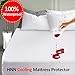 LEISURE TOWN Mattress Protector Queen 100% Waterproof Mattress Pad Cover Breathable Fitted 8-21 Inch Deep Pocket(Queen 60