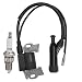 Engine Generator Ignition Coil For Champion Power 196cc 6.5HP 3500 4000 Watt Gas W/spark plug