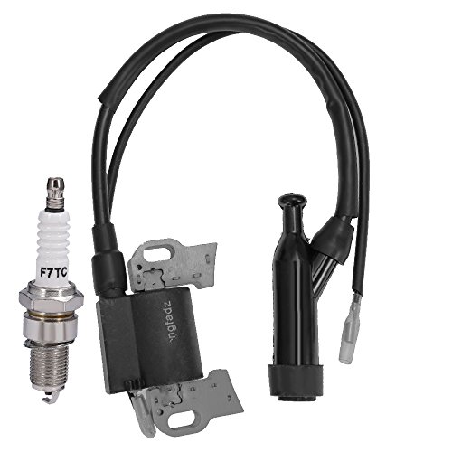 Engine Generator Ignition Coil For Champion Power 196cc 6.5HP 3500 4000 Watt Gas W/spark plug