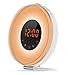 IREALIST Touch Control Wake-Up Light Alarm Clock with Sunrise Sunset & Snooze Function