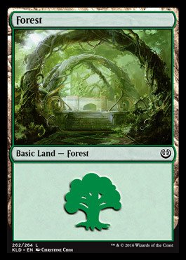 Magic: the Gathering - Forest (262/264) - Kaladesh - Foil