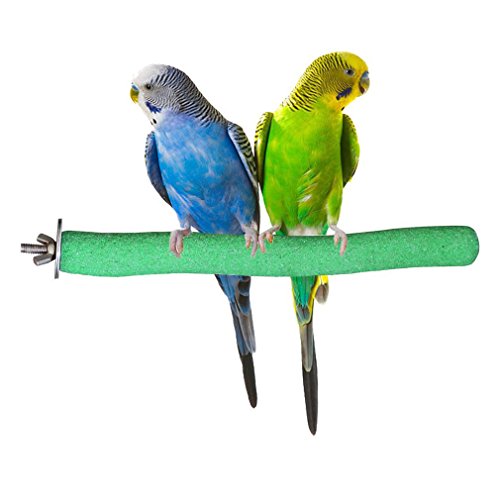 Bird Perch Rough-surfaced Nature Wood Stand Toy Branch For Parrots By Kintor Green (Small-8inch)