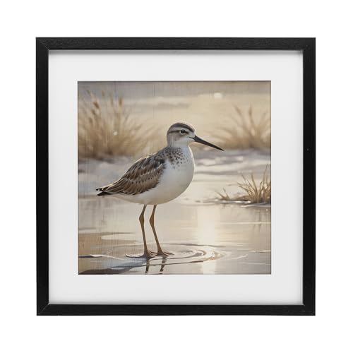 Stupell Industries Sunlit Sandpiper in Shallow Water Black Framed Print Under G…