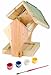 Toysmith Paint-A-Bird Feeder Kit