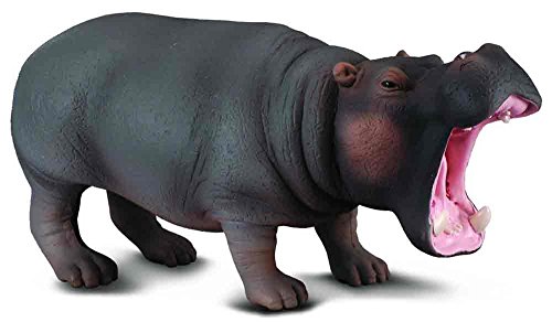CollectA Hippopotamus Figure