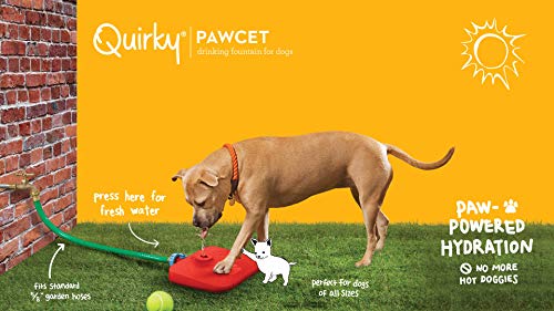Quirky Pawcet Pet Fountain -Pressure Pedal Activated Pet Water Fountain for Dogs - Thumbnail 3
