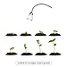 LED Grow Light, Hgrope 5W LED Clip Desk Lamp Clamp Flexible Neck 360 Degree for Hydroponic Garden Greenhouse