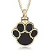 CharmSStory Ashes Pet Dog/Cat Paw Print Cremation Urn Necklace Memorial Holder Gold Plated Pendant