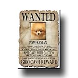 Pomeranian Wanted Fridge Magnet