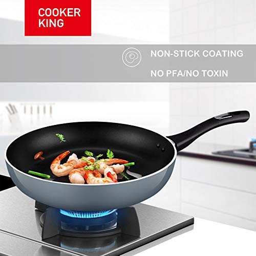 COOKER KING 10 Inch Nonstick Frying Pan PFOA/Toxin Free, Induction