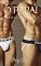 Livro BROTHERAGENS: O PAPAI