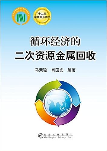 循环经济的二次资源金属回收 十二五 国家重点图书 马荣骏肖国光 Amazon Com Books