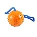Petroad Puppy Ball on a Rope -Dog Training Exercise and Reward Toy -Dog Chew Toy (2.75