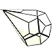 Imagine Branch Rustic Geometric Glass Terrarium - Indoor/Outdoor Industrial Finish (Glass, 10 Inch Tear Drop)
