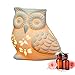 Ivenf Owl Shape Ceramic Tea Light Holder/Wax Melt Warmer, Aromatherapy Essential Oil Burner, Great Decoration for Living Room, Balcony, Patio, Porch & Garden