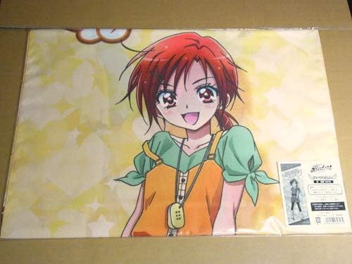 Amazon ムービック Movic スマイルプリキュア ハーフのれん 日野あかね キュアサニー アニメ 萌えグッズ 通販