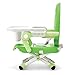 Chicco Pocket Snack Booster Seat, Modmint