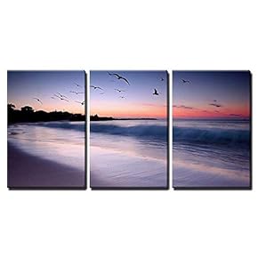 3 Piece Canvas Wall Art - Waves Crashing on Beach at Sunset with Birds Flying by - Modern Home Art Stretched and Framed Ready to Hang - 16"x24"x3 Panels