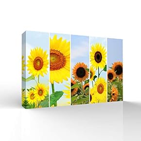 wall26 Canvas Wall Art Colorful Flowers Pictures Home...