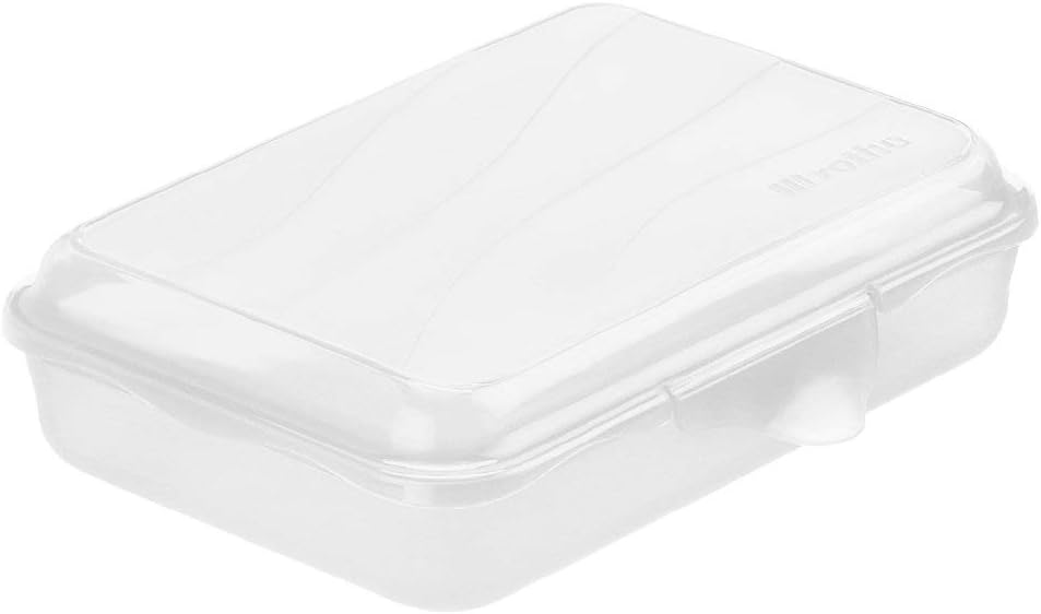 Rotho Fun flache Vesperdose 0,45l mit Klickverschluss, Kunststoff (PP) BPA-frei, transparent, 0,45l (16,0 x 11,0 x 4,0 cm)