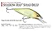 Rapala Shadow Rap Shad Deep Hard Bait Lure, Freshwater, Size 09, 3 1/2