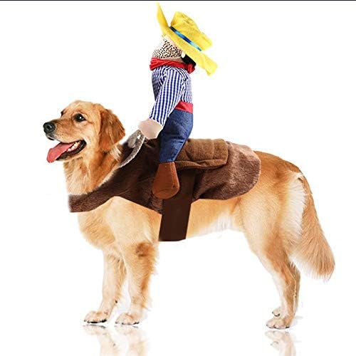dog with cowboy hat